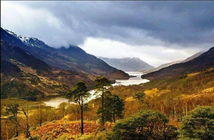 Forest View Guest House Kinlochleven Luaran gambar